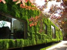 鋼結(jié)構(gòu):引領(lǐng)建筑業(yè)轉(zhuǎn)型的“綠房子”